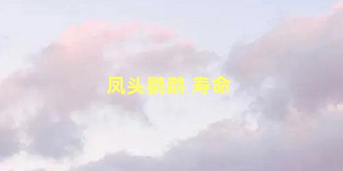 凤头鹦鹉 寿命